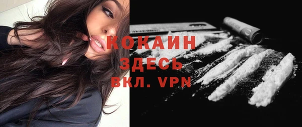 молекула духа Верхний Тагил
