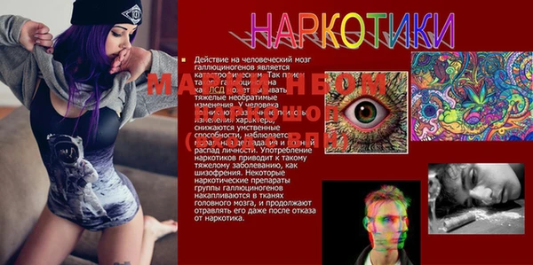 таблы Верея