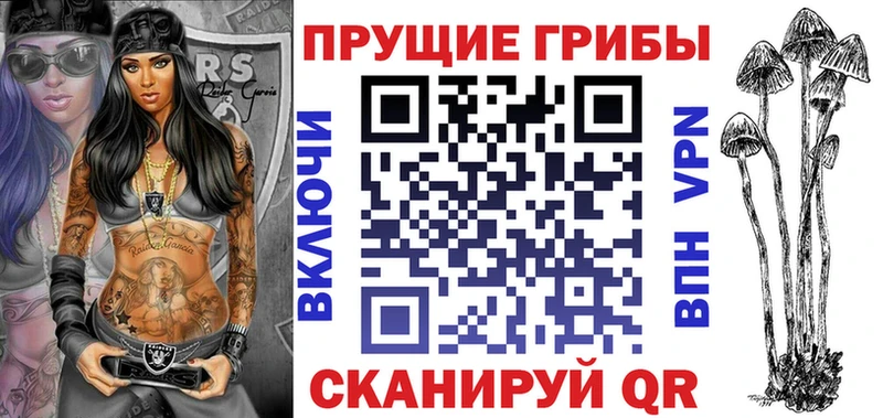 Галлюциногенные грибы Psilocybe  сайты даркнета клад  Кинель 