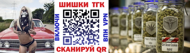 Канабис сатива  Кинель 